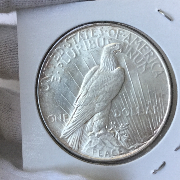 1923-D-Peace-Dollar-For-Grading---Bu?
