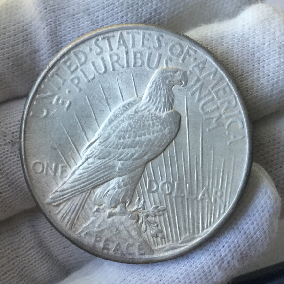 Here's-A-1924-Peace-Dollar-Please-Grade...-You-Are-All-Amazing-By-The-Way..