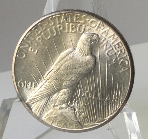 1928-P-Peace-Dollar---Should-I-Have-TPG-Graded-For-Best-Price?