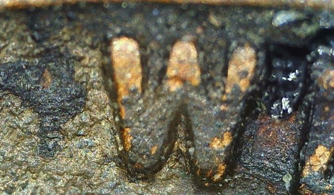 1942-S-Lincoln-Wheat-Penny