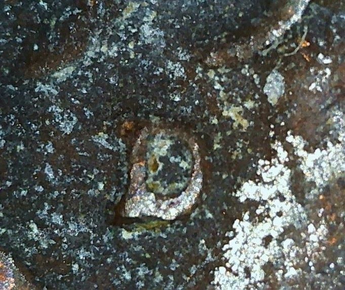 1959-D-Lincoln-Memorial-Penny