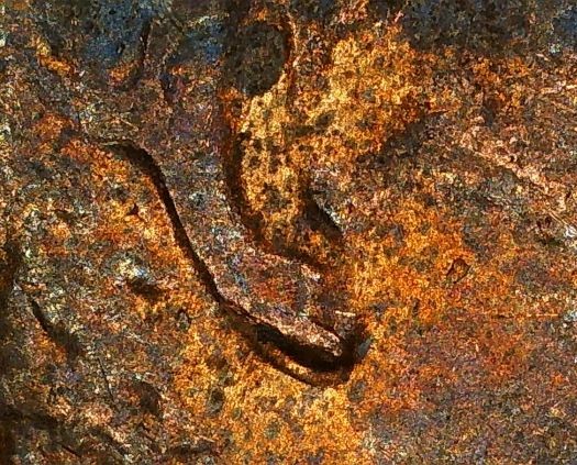 1984-Lincoln-Memorial-Penny