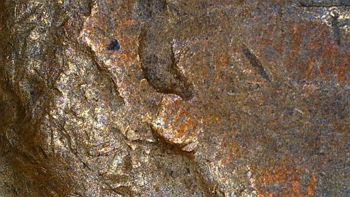 1953-D-Lincoln-Wheat-Penny
