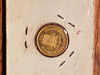 1897-Dutch-5-G