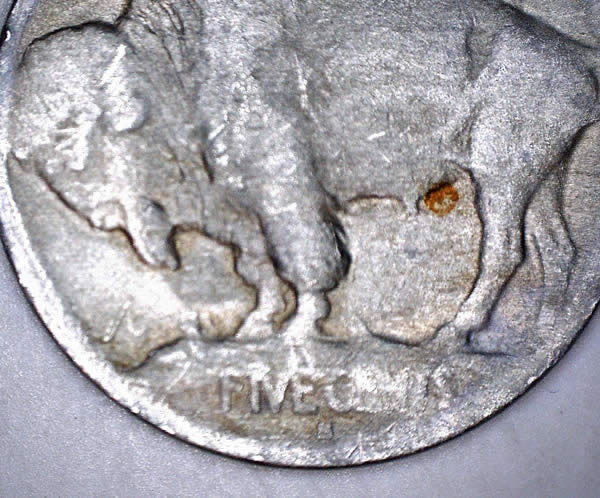 Dateless-Buffalo-Nickel---Possible-1913-Type-1?