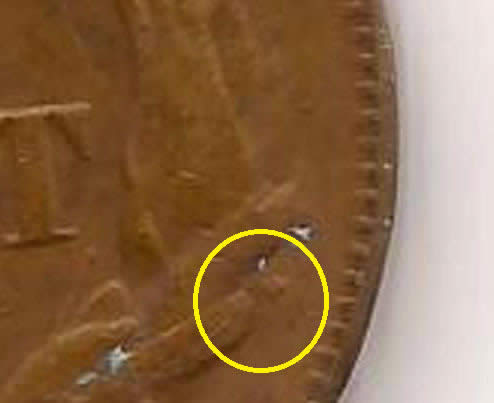 Identifying-Counterfeit-Vs.-Genuine-1856-Flying-Eagle-Cents.