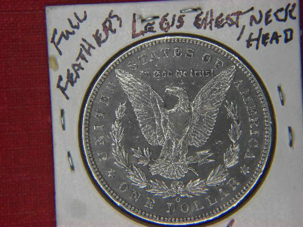 Are-Theses-Fake-Morgans?