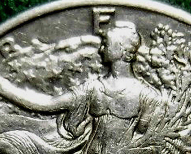 1935-P--WLH--Need-Your-Opinion-.