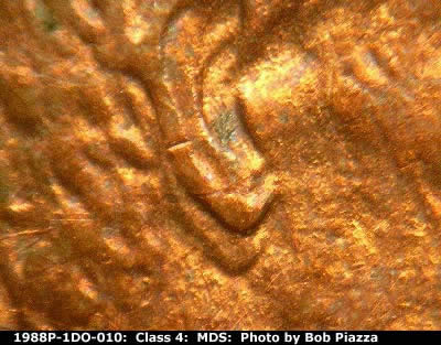 Is-This-A-1988-Double-Ear-Kind?