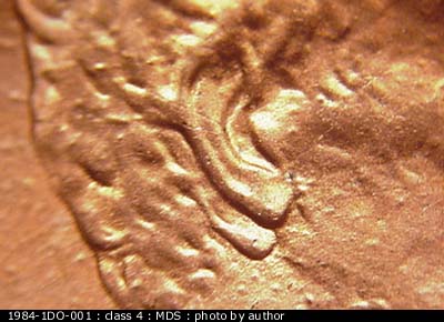 1984-D-US-Penny-DDO-W/-Slight-Double-Ear?-Help!