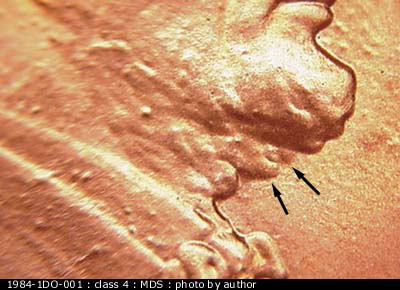 1984-D-US-Penny-DDO-W/-Slight-Double-Ear?-Help!