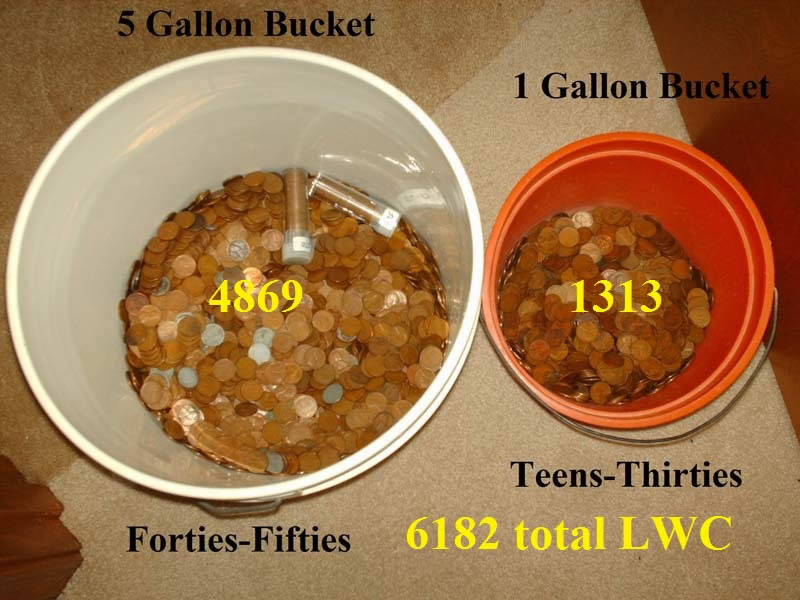 Sorting-And-Storing-Wheat-Pennies