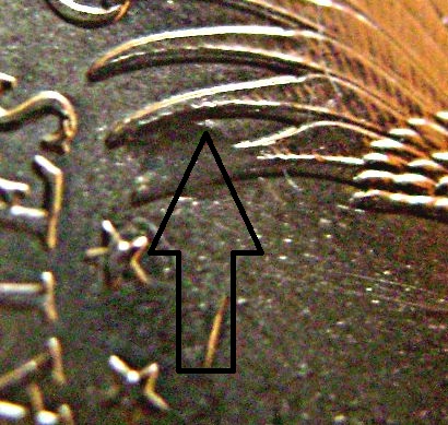 Sacagawea-Error,-Delamination-On-Eagle�s-Wing