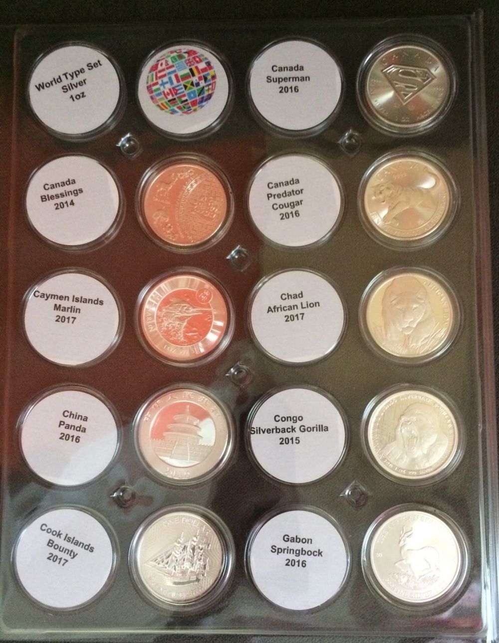 World-1-Oz-Silver-Bullion-Type-Set--CAPS-Versus-Encaps