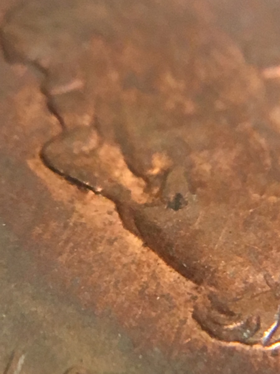 1996-Lincoln-Cent-Error?
