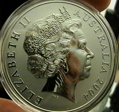 Adding-To-My-Collection...