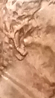 1984-Double-Ear