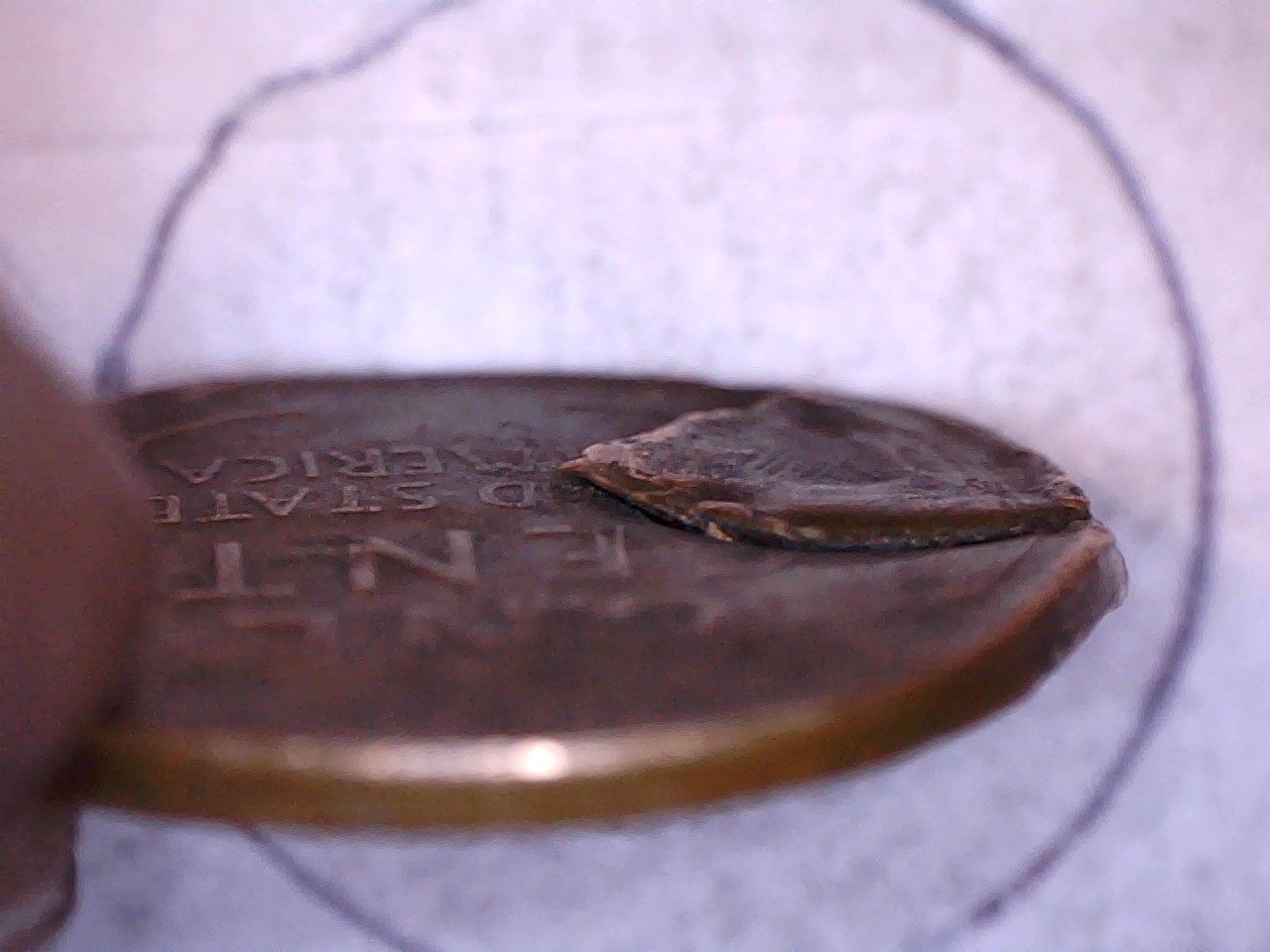 1944-Wheatie---Experts-Opinions-Please?
