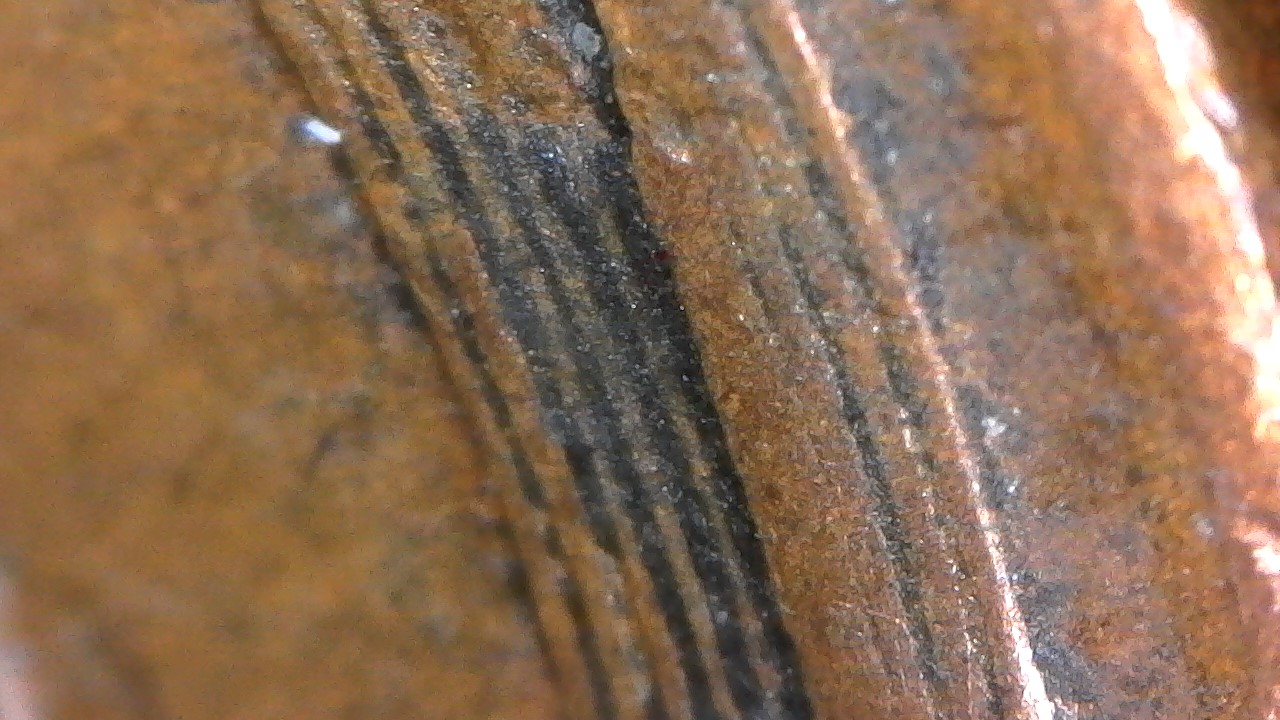 1945-Raised-Area-On-Wheat