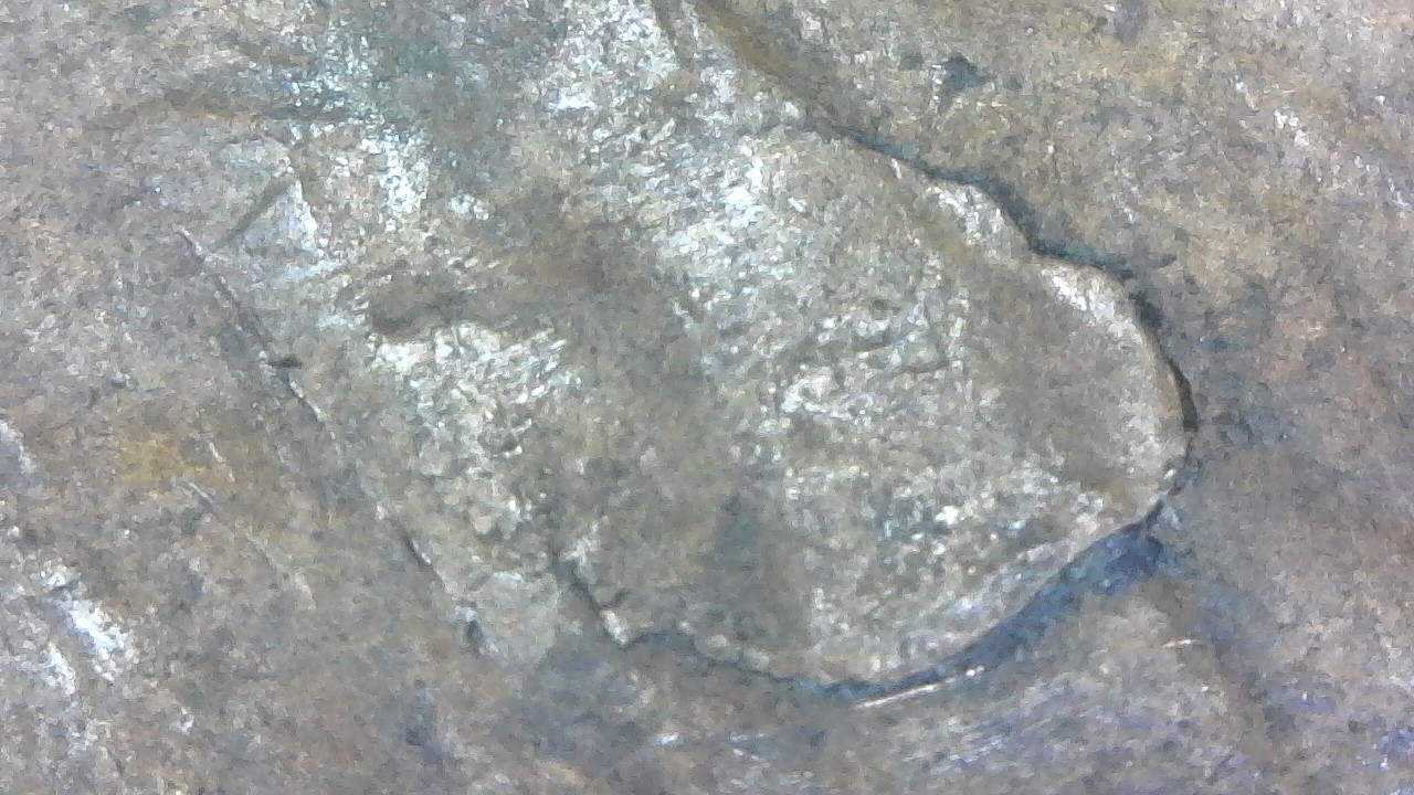 Retained-Cud-On-1948-D?