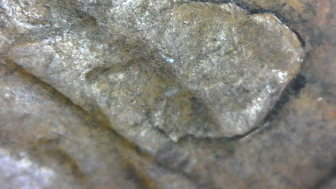 Retained-Cud-On-1948-D?