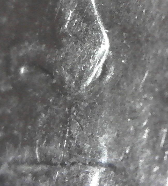 2015-P-Jefferson--Nickel-With-DDO?-Help-Please