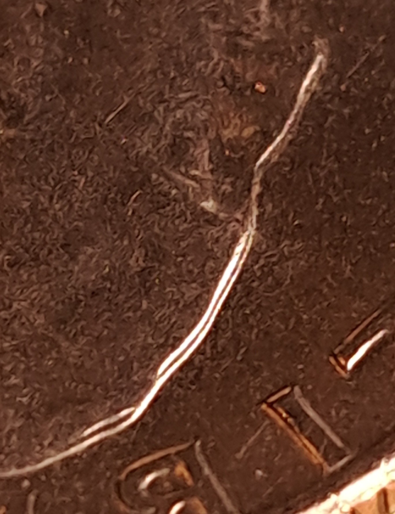 1965-P-Washington-Qtr-Doubled-Or-Damaged?