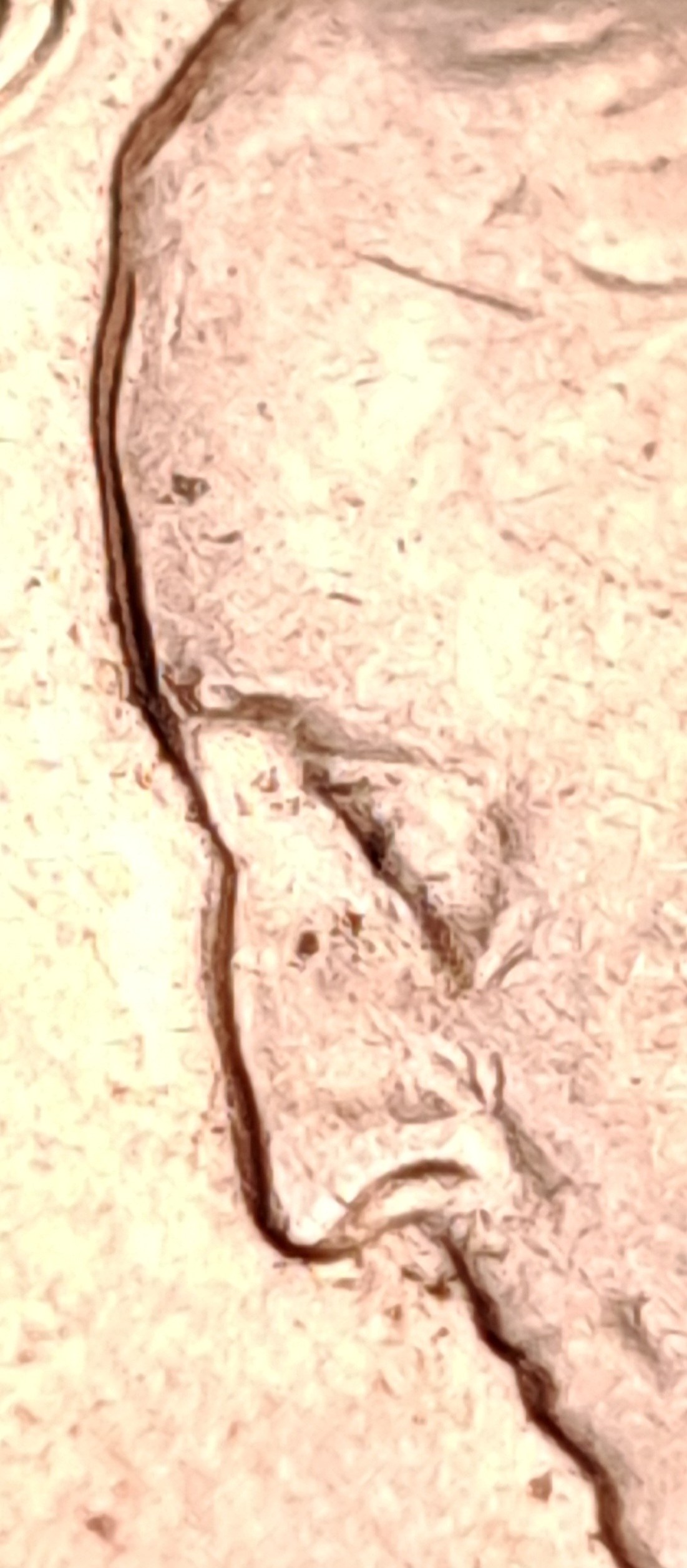 1965-P-Washington-Qtr-Doubled-Or-Damaged?