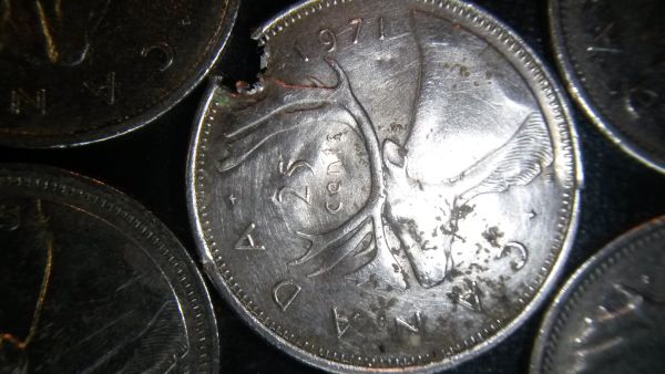 What's-Inside-My-Coin?