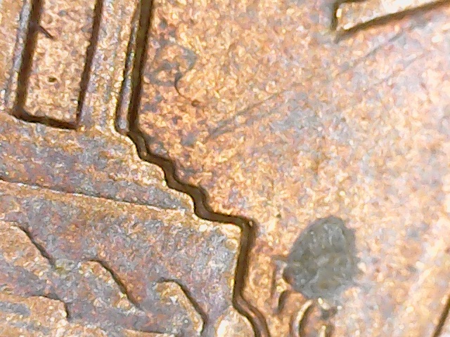 1988-Lincoln-Cent-Doubling-On-The-Rear