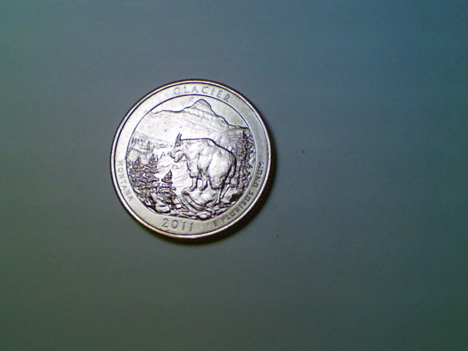 2011-Glacier-Quarter-Die-Chips