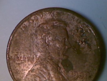1984-Penny-Copper-Nest
