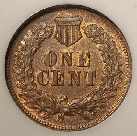 51-Days-Of-Indian-Head-Cents!-Here-We-Go!