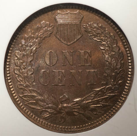 51-Days-Of-Indian-Head-Cents!-Here-We-Go!