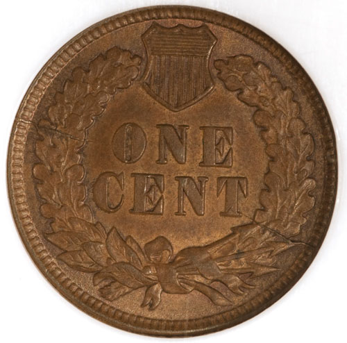 What-Beauty-Do-You-See-In-An-Error-Coin?!