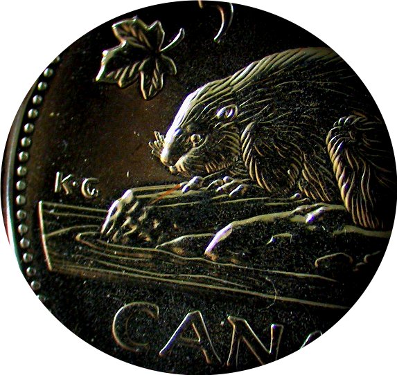 Coin-Roll-Finds---Post-Yours-Here!