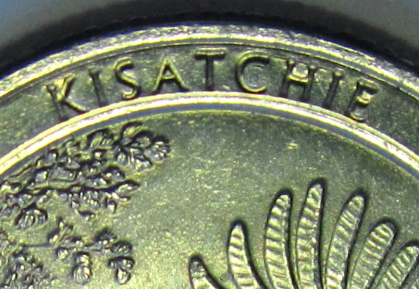 What-Kind-Of-Strike-On-This-2015-Kisatchie-P-Quarter?