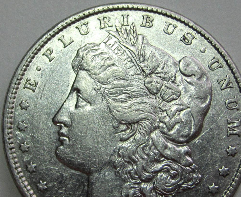 1878-Morgan-8-Tf-Opinions-On-Grade-Please?