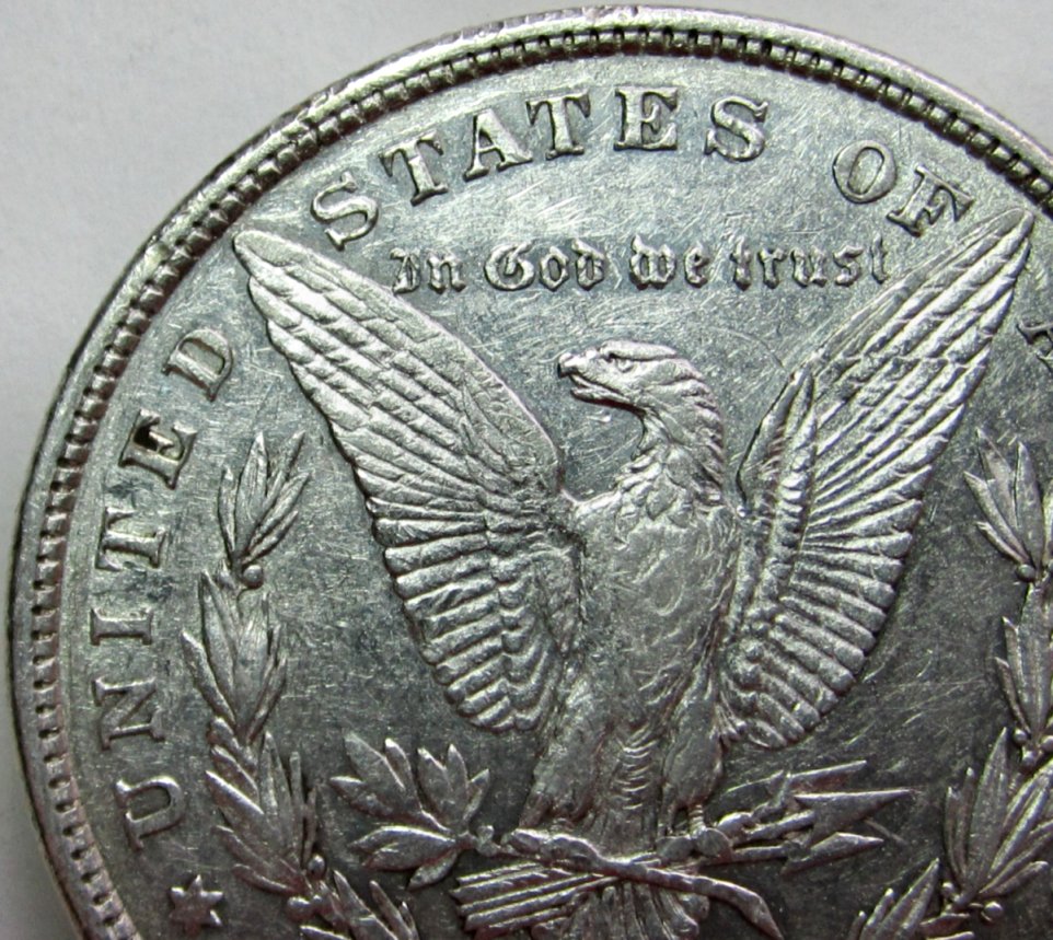 1878-Morgan-8-Tf-Opinions-On-Grade-Please?
