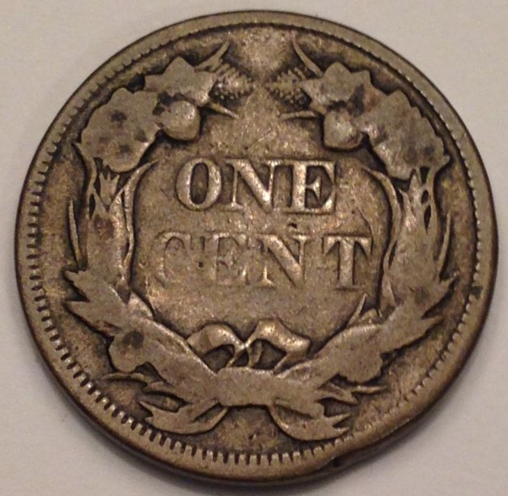 Did-I-Do-Alright-On-This-Purchase?-1858-Flying-Eagle-Cent