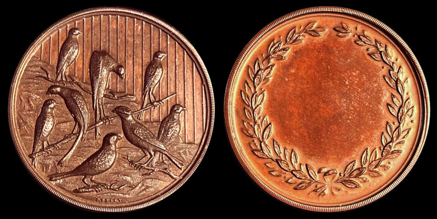 Post-Your-Bird-Coins