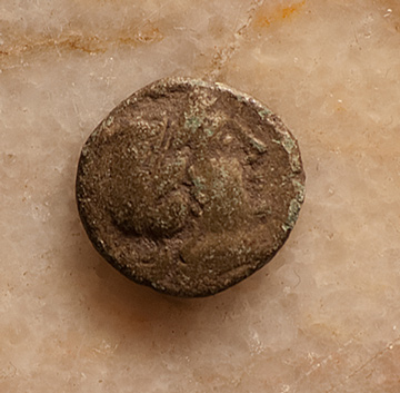 Another-Coin-|-Kallatis-Bronze