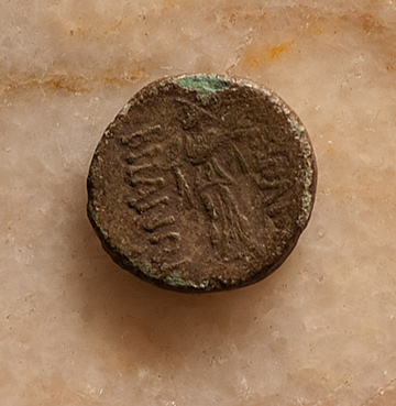 Another-Coin-|-Kallatis-Bronze