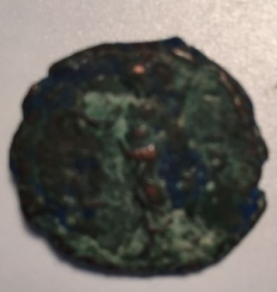 What-Is-This?-Is-It-Egyptian?