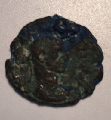What-Is-This?-Is-It-Egyptian?