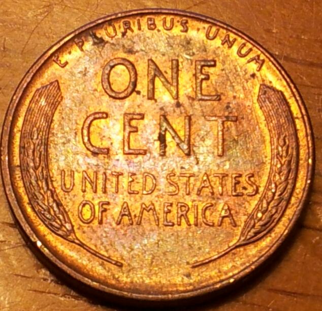 Just-A-Few-Things-I-Found-This-Past-Week-Roll-Hunting-.