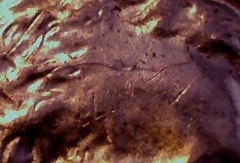 1960-D-Small-Date-1mm-102