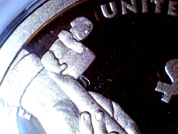 Adventures-At-The-Coin-Shop-When-The-Owner-Is-Away
