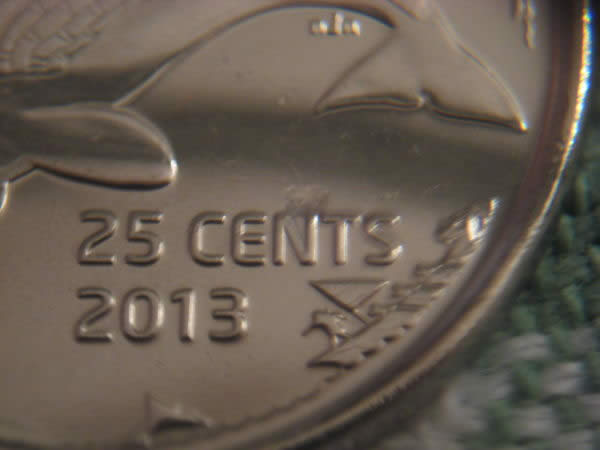 2013-Whale-Quarter---PMD-Or-First-Error-Pictures?