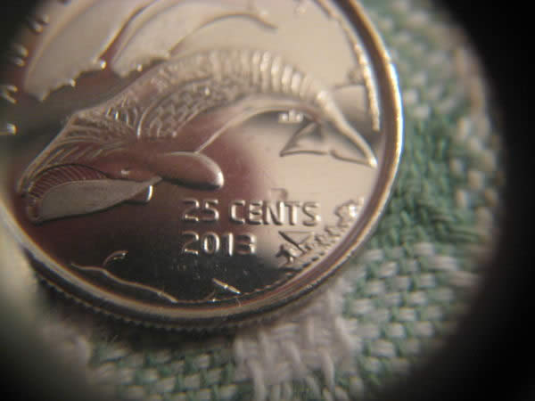 2013-Whale-Quarter---PMD-Or-First-Error-Pictures?